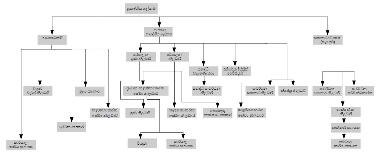 organization structure si