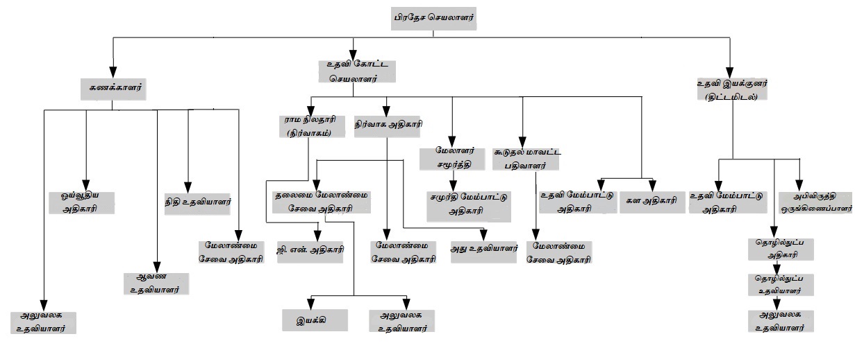 organization structure tamil